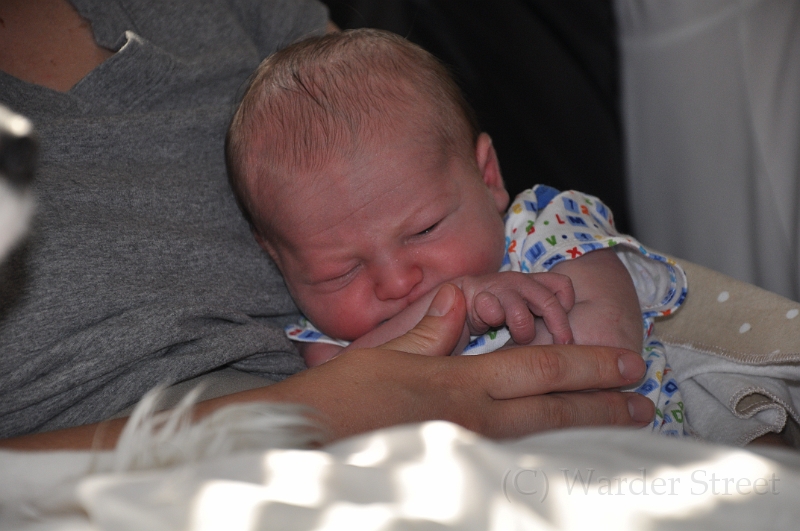 William's First Week 02.jpg